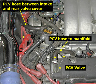 stock PCV hoses